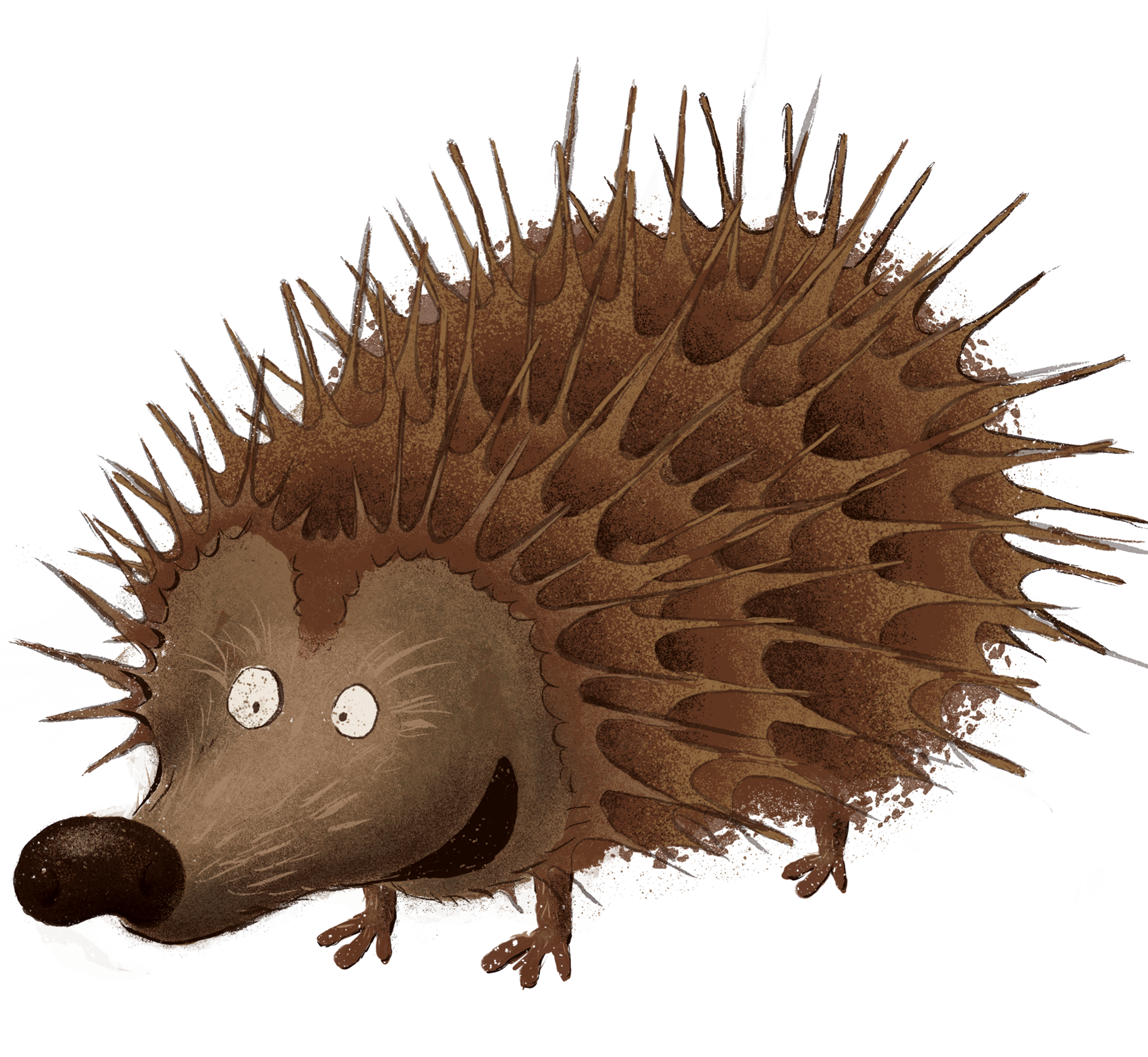 Igel unterwegs
